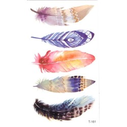 Watercolor Feather