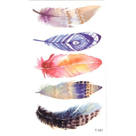 Watercolor Feather